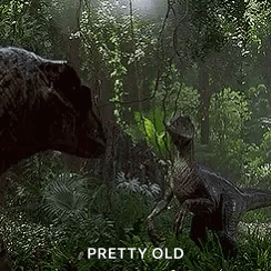Jurassic Dinosaur GIF - Jurassic Dinosaur Raptor GIFs
