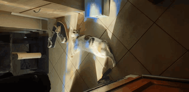 a cat is laying on a tiled floor in front of a trash can that says cat on it