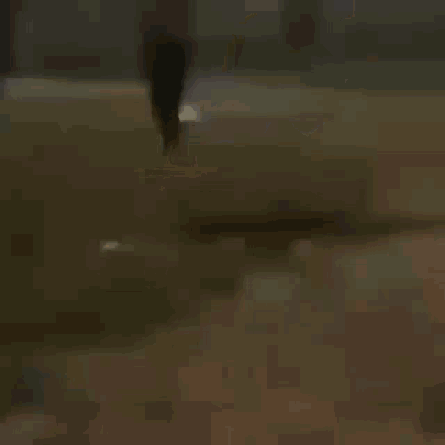 a blurred image of a person walking on a dirt path .
