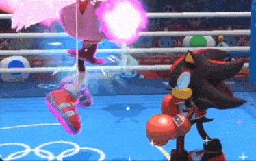 shadow the hedgehog and amy rose are in a boxing ring