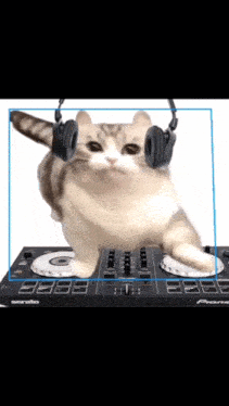 a cat wearing headphones is standing on a pioneer dj mixer