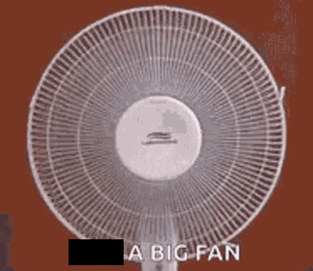 Bigfan GIF - Bigfan GIFs