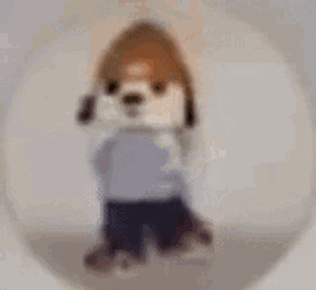 a stuffed animal is standing in a circle wearing a blue sweater and blue shorts .