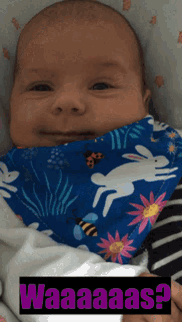 a baby wearing a bib with rabbits and flowers says waaaaas on the bottom