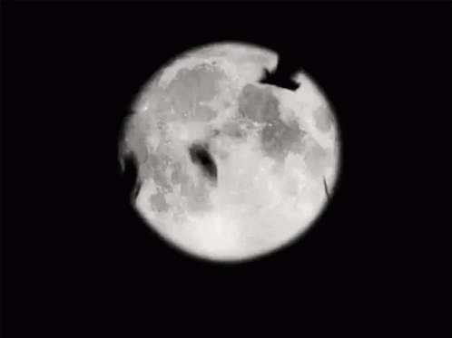 Moon Love You To The Moon And Back GIF - Moon Love You To The Moon And Back Bat GIFs