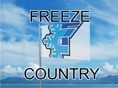 a flag with a snowflake and the words freeze country below it