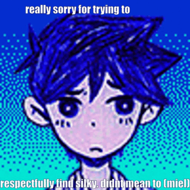 a cartoon of a boy with blue hair says really sorry for trying to respectfully find silky didnt mean to miel