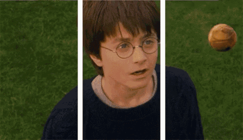 harry potter is wearing glasses and looking at a golden snitch in the air .