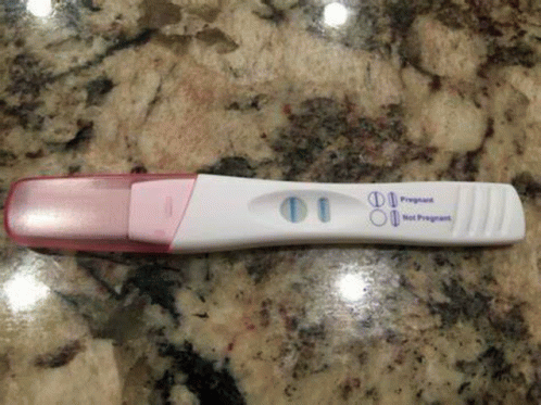 Pregnancy Test GIF - Pregnancy Test GIFs