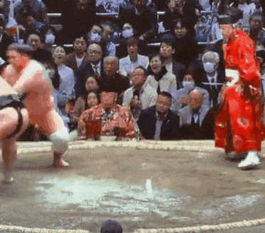 a group of people are watching a sumo match .