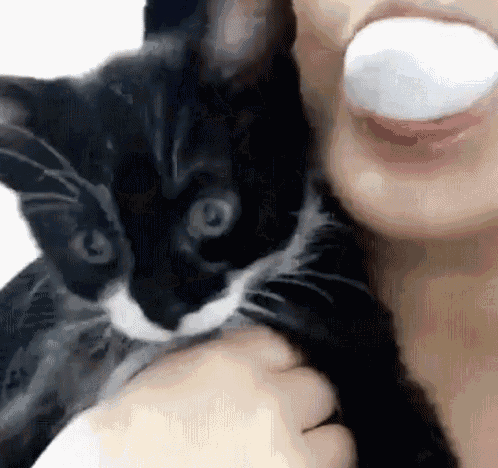 a woman is holding a black and white cat in her arms and blowing a bubble with her mouth .