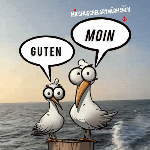 two seagulls standing on a dock with speech bubbles that say guten moin