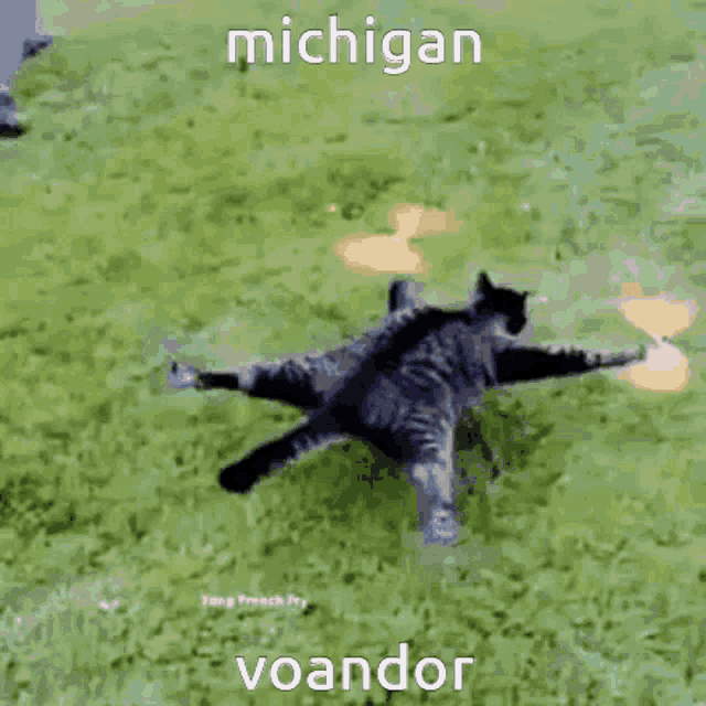 a picture of a person walking a dog with the words michigan voandor