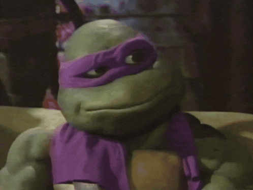 a close up of a turtle with a purple mask on