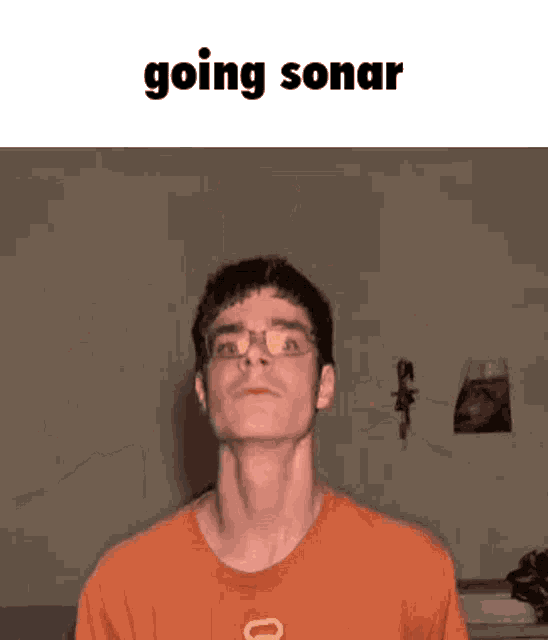 Sonar Sonarcord GIF - Sonar Sonarcord Zoey GIFs