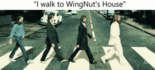 Wing Nut GIF - Wing Nut GIFs