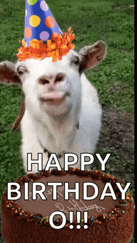 a goat wearing a party hat is standing in front of a birthday cake