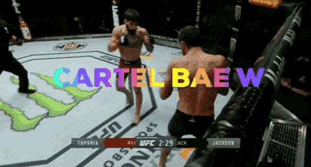 cartel baew is the name of the fighter in this fight