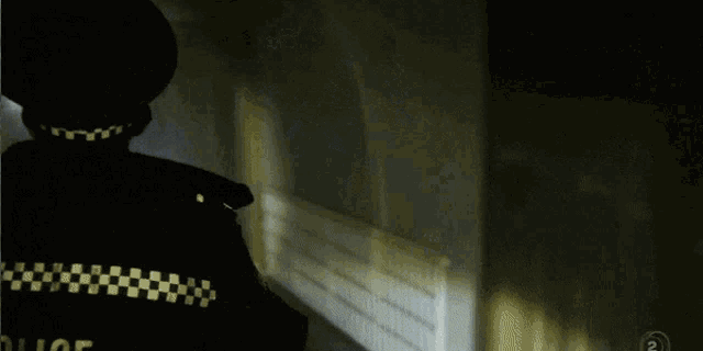 Wellington Paranormal GIF - Wellington Paranormal Ghost GIFs