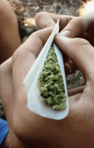 a close up of a person rolling a cigarette