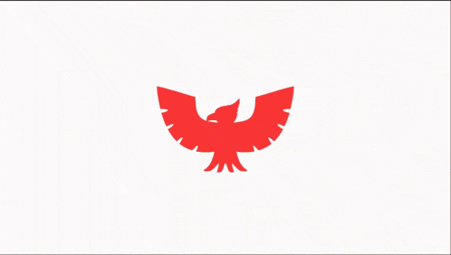 captain falcon stands in front of a red eagle