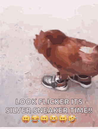 Chicken Shoes Funny Animals GIF - Chicken Shoes Funny Animals Rooster GIFs