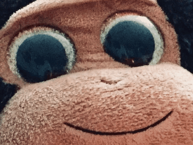 a close up of a stuffed animal 's face with big eyes