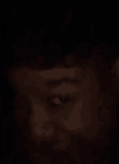 a close up of a person 's face in the dark with their eyes visible .