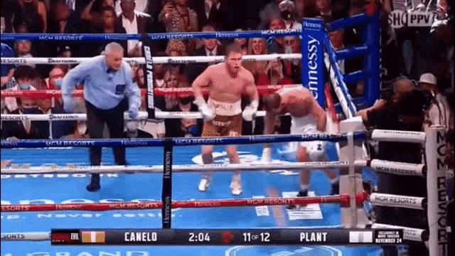 a boxing match between canelo and plant with the score 2:04