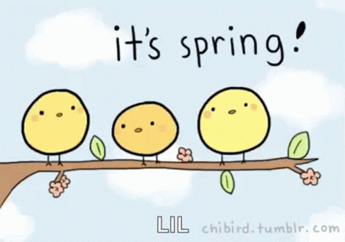 Birds Branch GIF - Birds Branch Spring GIFs