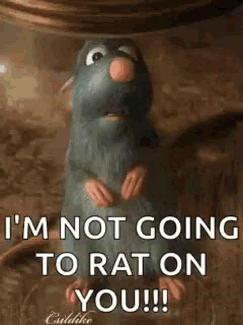a cartoon rat is saying `` i 'm not going to rat on you !! ''