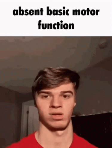 Absent Basic Motor Function Meme GIF - Absent Basic Motor Function Meme Caption GIFs