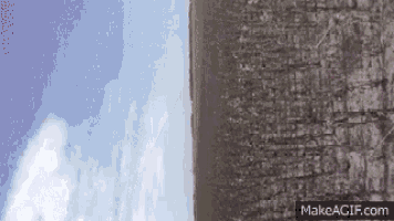 a close up of a tree trunk with a blue sky behind it