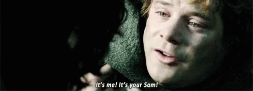 Lord Of The Rings Sam GIF - Lord Of The Rings Sam Its Me GIFs