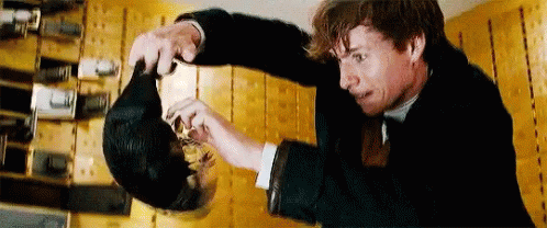 Fantastic Beasts Fantastic Beasts And Where To Find Them GIF - Fantastic Beasts Fantastic Beasts And Where To Find Them Tickle GIFs