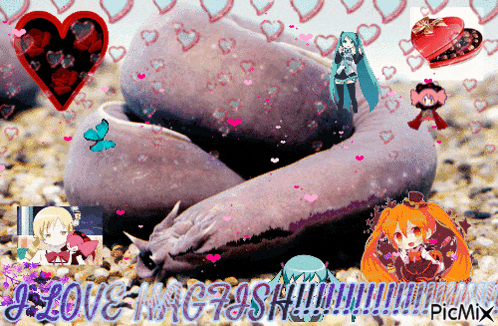 a collage of anime characters with the words " i love magdash " on the bottom