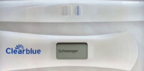 Schwangerschaftstest Pregnant GIF - Schwangerschaftstest Schwanger Pregnant GIFs