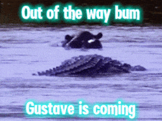 a picture of a hippo and a crocodile in the water with the caption out of the way bum gustave is coming
