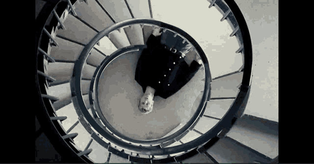 a woman is laying on a spiral staircase looking up at the camera