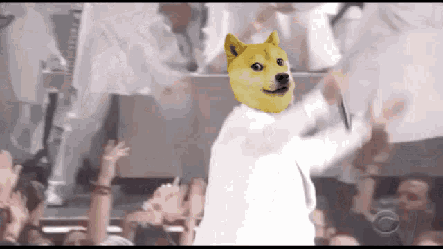 Doge Raise The Roof GIF