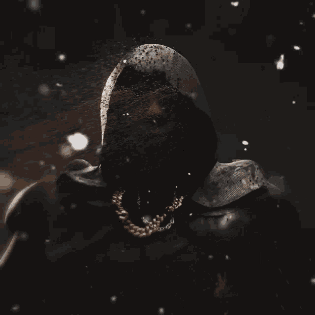 a skull with a gold chain around it