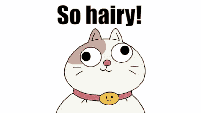 a cartoon cat with the words so hairy on the bottom