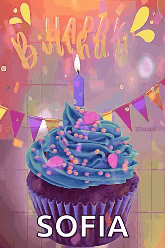 a birthday cupcake with a candle and the name sofia