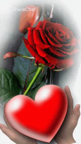 Love Roses GIF - Love Roses I Love You GIFs