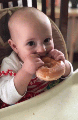 Donut Baby GIF - Donut Baby Eating GIFs