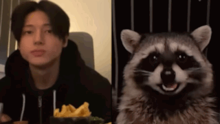 Wooyoung Wdzcity GIF - Wooyoung Wdzcity Racoon GIFs