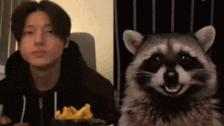 a raccoon is sitting next to a man eating french fries