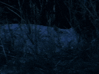 a blue background with the words silence bum gustave is sleeping