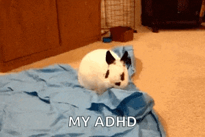 a white rabbit is laying on a blue blanket with the words my adhd written on the bottom