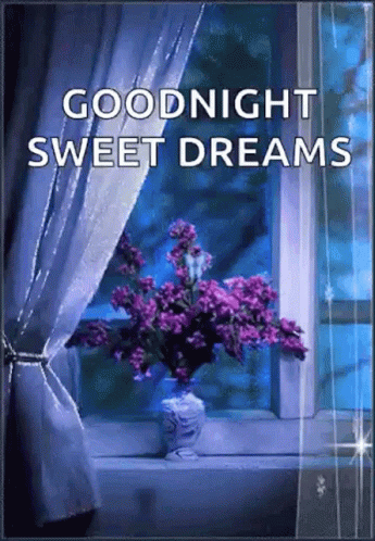 Good Night Sweetdreams GIF - Good Night Sweetdreams Butterfly GIFs